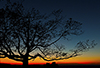 Skyline Drive, Shenandoah National Park, VA